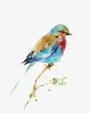 Painting Drawing Printmaking Birds - Watercolour Bird Paint Png