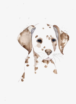 Dalmatian Dog Watercolor Painting Drawing Illustration - Watercolor Images Of Dogs Transparent Background Vector