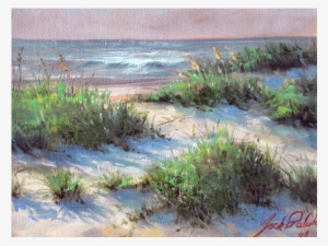 Beach Grass - American Beachgrass