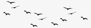 Birds Png Pic1 - Birds Flying Vector Png