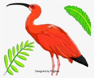 Simple Hand Painted Cartoon Bird Material, Cartoon, - Cartoon