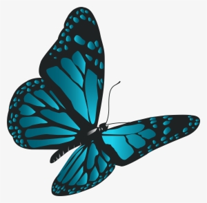 Butterfly Png