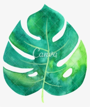 Tropical Leaves Watercolor Png Image Library Download - Tropical Leaf Watercolor Png