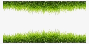 Grass Png