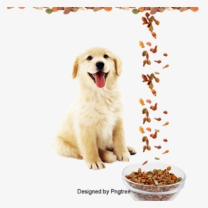 Pet Dog, Dog Clipart, Dog, Pet Png And Psd - Cat