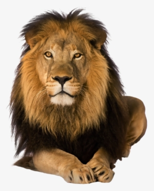 Lion Png - Netley Abbey