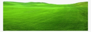 Transparent Green Grass -top Turf Lawn Care And Pest - Png Pastagem
