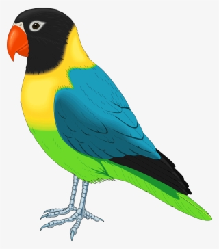Multicolored Bird Png Clipart - Bird Clipart