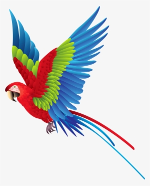 Colourful Parrot Png Clipart - Parrot Png