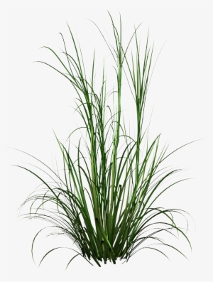 Free Icons Png - Pasto Png