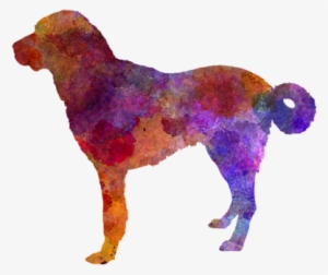 Click And Drag To Re-position The Image, If Desired