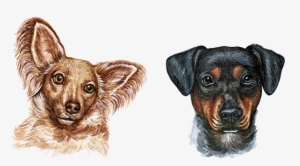 Dog Watercolor Painting - Dog Watercolor Png