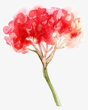 This Graphics Is Red Light Bouquet Cartoon Transparent - Portable Network Graphics