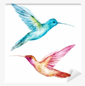 Watercolor Colibri