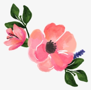 Watercolour Flower Png - Watercolour Pink Flower Png