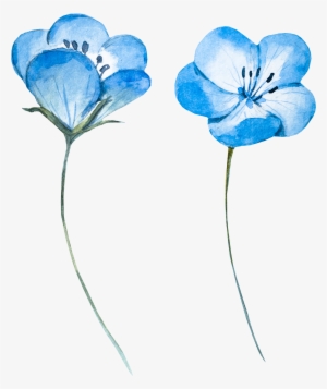 Blue Watercolor Flower Png - Baby Blue Flowers Icon