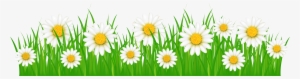 Clip Art Transparent Ground With White Png Clip Art - Grass With Flowers Png