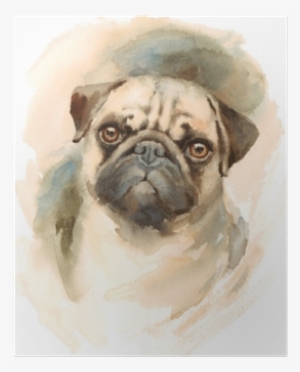 Watercolor Dog Pug Portrait - M&co. Pug Print Cushion