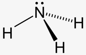 Ammonia - Primary Amine