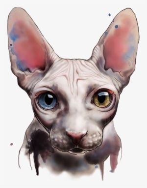 Watercolor And Digital Art By Elenn Freya - Sphynx Cat Art