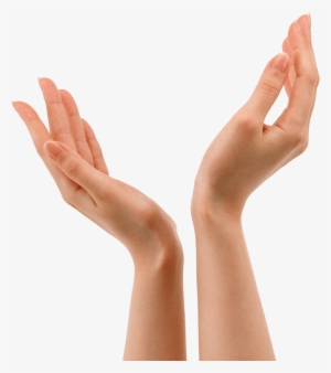 People - Hands - Hand Png