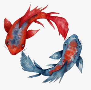 Yin Yang Koi Fish | Unisex T-shirt | Apparel | Women