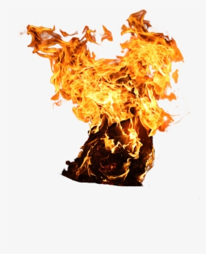 Doston Me Aaj Aap Sabhi Editors Ke Liye New Fire Png - Tree On Fire Png