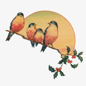 Clipart Bird Vintage