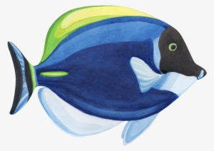 Hand Painted A Fish Watercolor Fish Png Transparent - Fish Watercolor Transparent