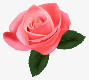 Pink Rose Png Clipart - Transparent Pink Rose Png