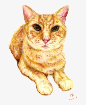 Png Black And White Library Ginger Drawing Watercolor - Library