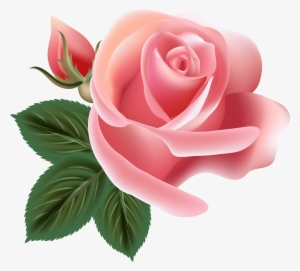 Pink Rose Png - B Day Flower Png