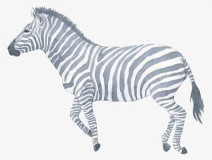 Hand Painted Zebra Watercolor Transparent Decorative - Aquarell-safari-tier-babyparty-einladung Karte