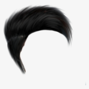Editing Hair Png Download - Hair Png Hd New