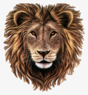 Best Free Lion In Png - Poem On Lion In Hindi