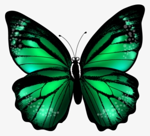 Abstract Purple Butterfly Watercolor - Green Butterfly Png