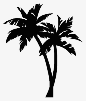 Picture Palm Tree - Palm Trees Clipart Black And White