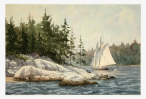 Learning To Truly See And Gaining Skills To Use Our - Sail