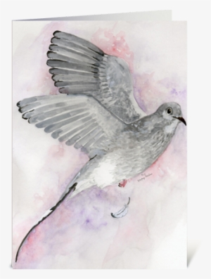 Send This Greeting Card Designed By Kay Murphy-wallace - Stock Dove