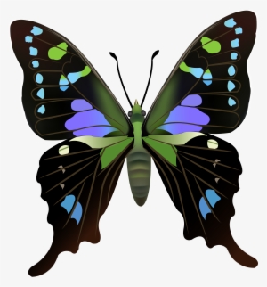 Butterfly Png Clip Art