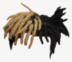 Hair Png Anime - Cabello De Xxxtentacion Png