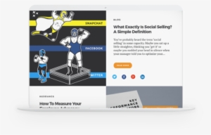 Subscribe To Our Newsletter - Newsletter