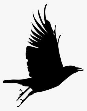 Flying Crow Silhouette Clip Art - Flying Crow Silhouette - 1893x2400 