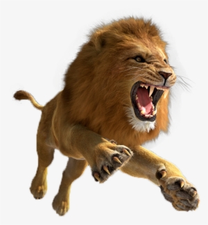 Lion Png Pic - Lion Png
