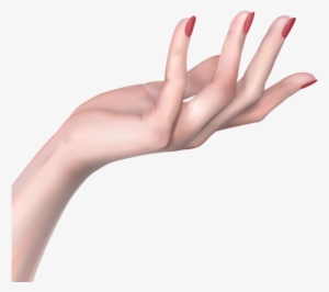 Hand Png Png Freeuse - Woman Hand Png