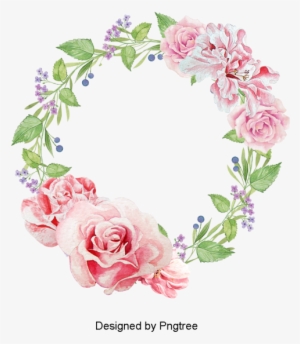 Flower, Flowers, Beautiful Flower, Floral, Beautiful - Flower