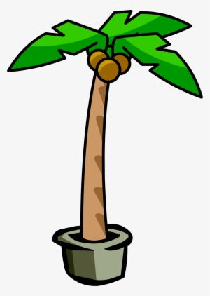 Palm Tree - Png - Club Penguin Palm Tree
