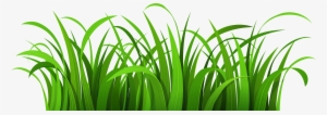 Grass Patch Png Clipart - Grass And Flowers Clipart