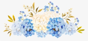Blue White Jadmine - Watercolor Blue Flowers Transparent