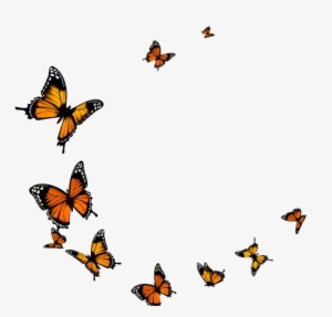 Flying Butterfly Png Transparent Image - Transparent Background Butterfly Fly Png